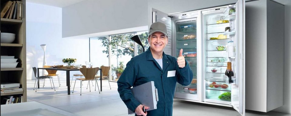Display Freezer Repair